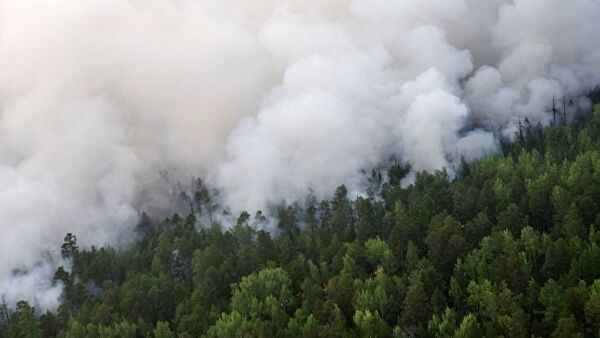 <br />
Ученым впервые удалось изучить историю лесных бедствий за 260 лет<br />
