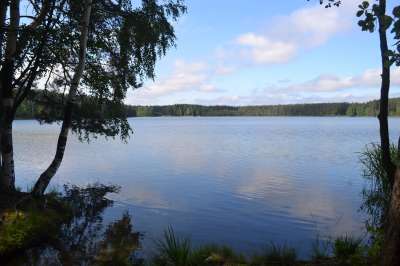 Озеро Белое в Московской области возьмут под охрану