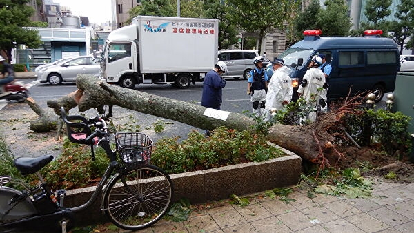 <br />
В Японии 30 человек пострадали от тайфуна<br />
